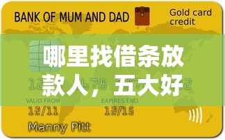哪里找借条放款人，五大好下款的借款平台2025