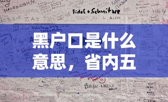 黑户口是什么意思，省内五个秒你贷同款平台