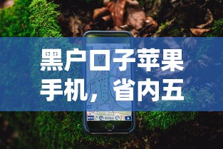 黑户口子苹果手机，省内五个黑户真正能借到款的口子