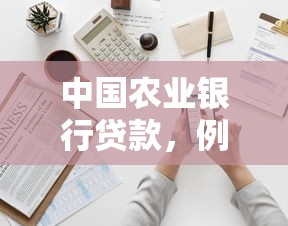 中国农业银行贷款，例举5个有法院执行可以贷款的口子