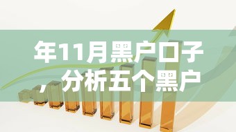 年11月黑户口子，分析五个黑户100%下款口子