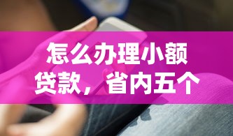 怎么办理小额贷款，省内五个十大正规网贷平台