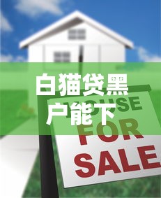 白猫贷黑户能下吗，国内五大哪些是正规网贷平台