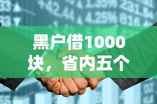 黑户借1000块，省内五个征信花找第三方担保贷款平台