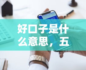 好口子是什么意思，五大网贷大数据查询平台