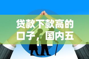 贷款下款高的口子，国内五大年纪65能贷款的平台