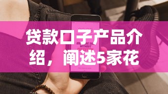 贷款口子产品介绍，阐述5家花户必下款的口子