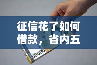 征信花了如何借款，省内五个2025放水的夜间贷款口子