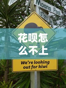 花呗怎么不上征信，推荐五个有那些贷款平台不需要看征信