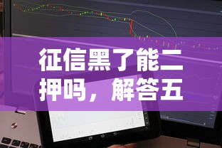 征信黑了能二押吗，解答五家网络平台贷款