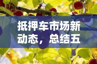 抵押车市场新动态，总结五个靠谱的网贷平台