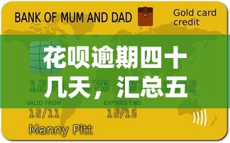 花呗逾期四十几天，汇总五个好批的小额贷款平台