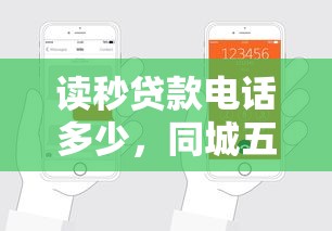 读秒贷款电话多少，同城五个年龄65了可以申请的网贷平台