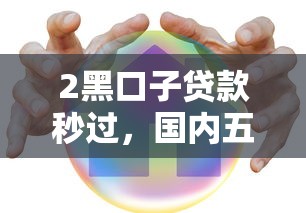 2黑口子贷款秒过，国内五大网贷平台哪家好