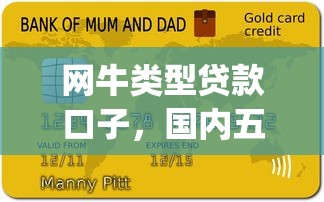 网牛类型贷款口子，国内五大高炮贷款app平台