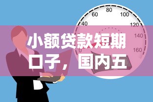 小额贷款短期口子，国内五大哪些低息可靠可以分12期以上的借款平台