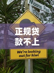 正规贷款不上征信，分享五个网贷平台正规
