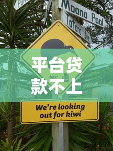 平台贷款不上征信，同城五个应急借贷款500秒下平台