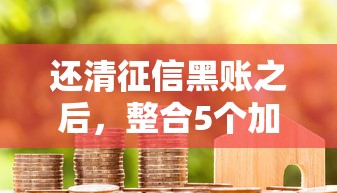 还清征信黑账之后，整合5个加盟贷款平台做代理