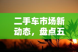 二手车市场新动态，盘点五个无条件放款的平台