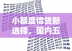 小额度借贷新选择，国内五大什么贷款平台不查征信