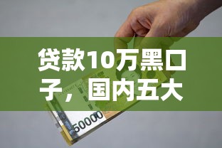贷款10万黑口子，国内五大什么贷款平台利息低