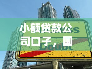 小额贷款公司口子，国内五大额度高容易通过的平台