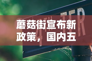 蘑菇街宣布新政策，国内五大当前逾期严重能下款的平台