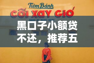 黑口子小额贷不还，推荐五个网贷平台举报网站