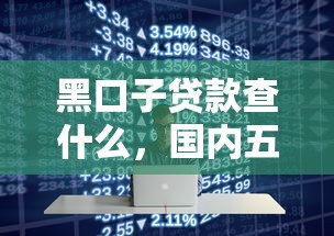 黑口子贷款查什么，国内五大借款平台借钱靠谱