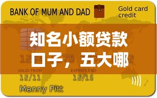 知名小额贷款口子，五大哪些贷款平台容易下款