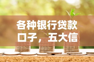 各种银行贷款口子，五大信用好的贷款平台