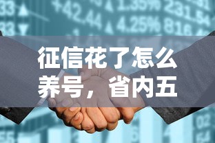 征信花了怎么养号，省内五个无需个人征信的借款平台