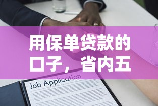 用保单贷款的口子，省内五个互联网金融网贷平台