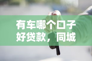有车哪个口子好贷款，同城五个中国正规网贷平台