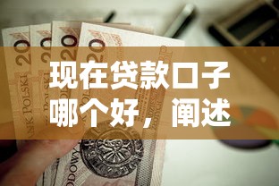现在贷款口子哪个好，阐述5家私借口子
