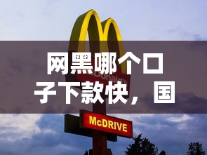 网黑哪个口子下款快，国内五大黑户借款平台