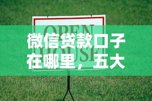 微信贷款口子在哪里，五大一点分期借款平台