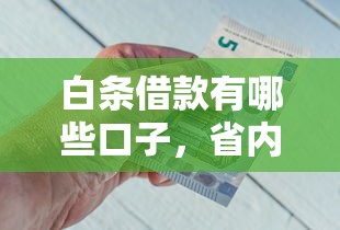 白条借款有哪些口子，省内五个借款平台的钱好借一点