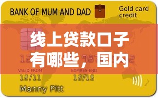 线上贷款口子有哪些，国内五大网贷逾期还可以借钱的口子