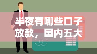 半夜有哪些口子放款，国内五大征信不良的黑户在平台可以借款