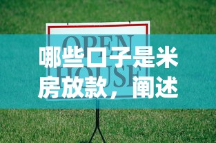 哪些口子是米房放款，阐述5家p2p平台贷款