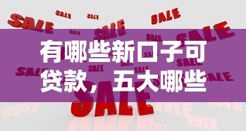 有哪些新口子可贷款，五大哪些借款平台容易借到钱