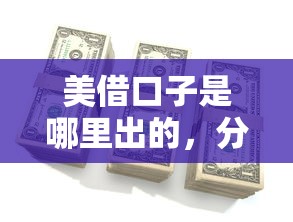 美借口子是哪里出的，分析五个大额网贷平台