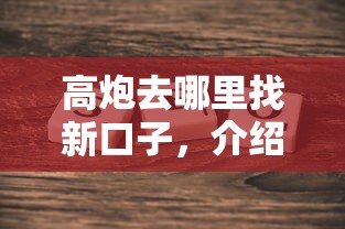 高炮去哪里找新口子，介绍五个私人贷款平台