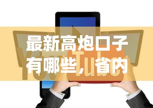 最新高炮口子有哪些，省内五个贷款平台app