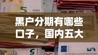黑户分期有哪些口子，国内五大个体户贷款平台
