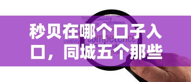 秒贝在哪个口子入口，同城五个那些贷款平台可靠
