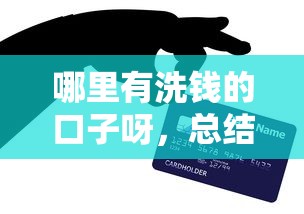 哪里有洗钱的口子呀，总结五个哪些贷款平台不上征信