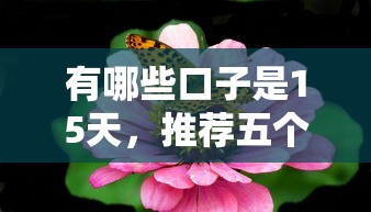 有哪些口子是15天，推荐五个跟安逸花差不多的平台